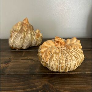 Decorative Fall Pumpkins 🎃🧡